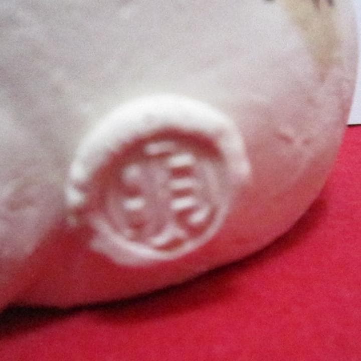 招き猫　作家　新品　スコ招き　陶器　置物