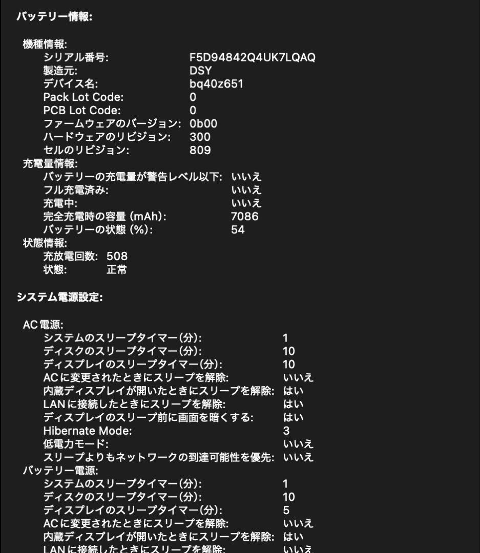 MacBook本体 MacBookPro 16inch 2019 16GB 1TB