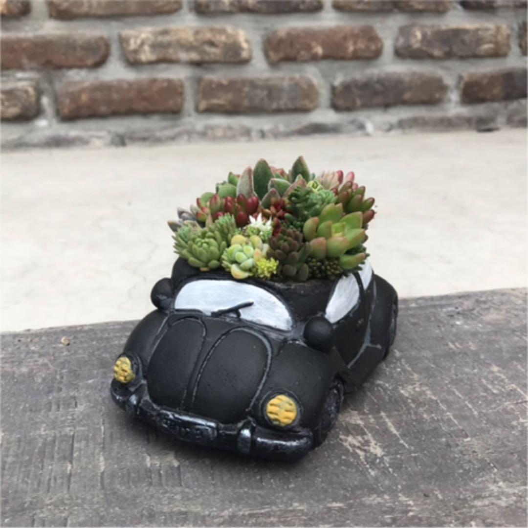 ★多肉の寄せ植え〜flower29car  マットブラック〜★