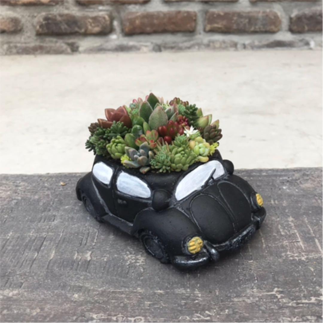 ★多肉の寄せ植え〜flower29car  マットブラック〜★