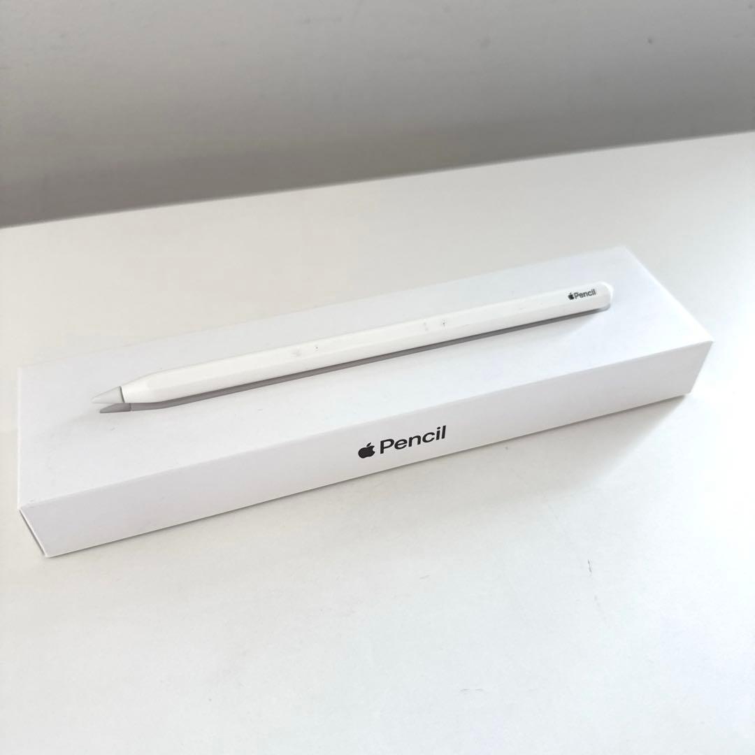 iPad mini6 256GB cellular Apple pencil付き