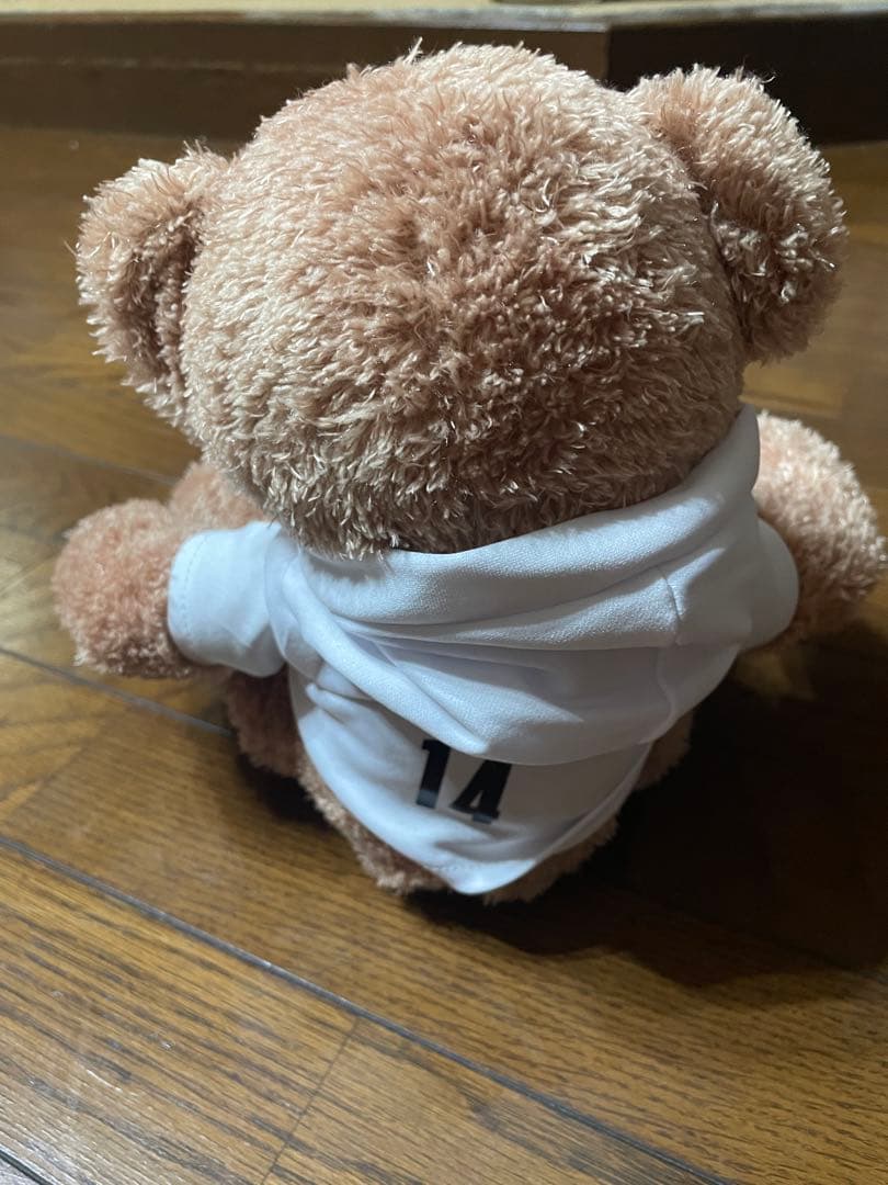 小*き様 石川祐希 ぬいぐるみ SIR BEAR ペルージャ