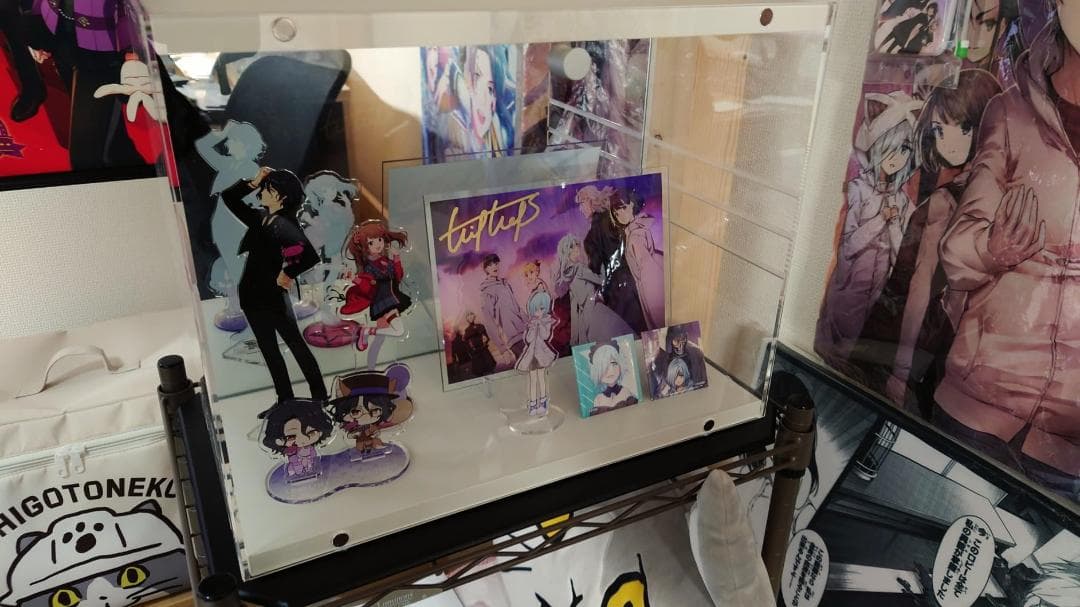 ドウシシャ スタッキングができる 背面ミラーの コレクションケース 扉が外せ☆彡