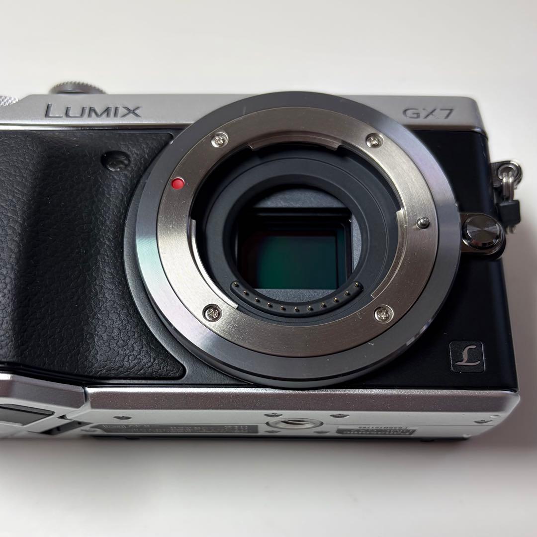 LUMIX DMC-GX7 【ちょっと問題あり】