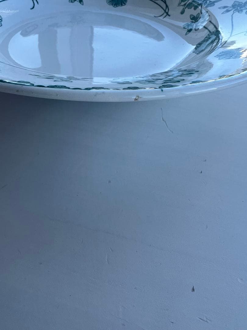 フランスアンティーク スーププレート　サルグミンヌ　ゼラニウム　B