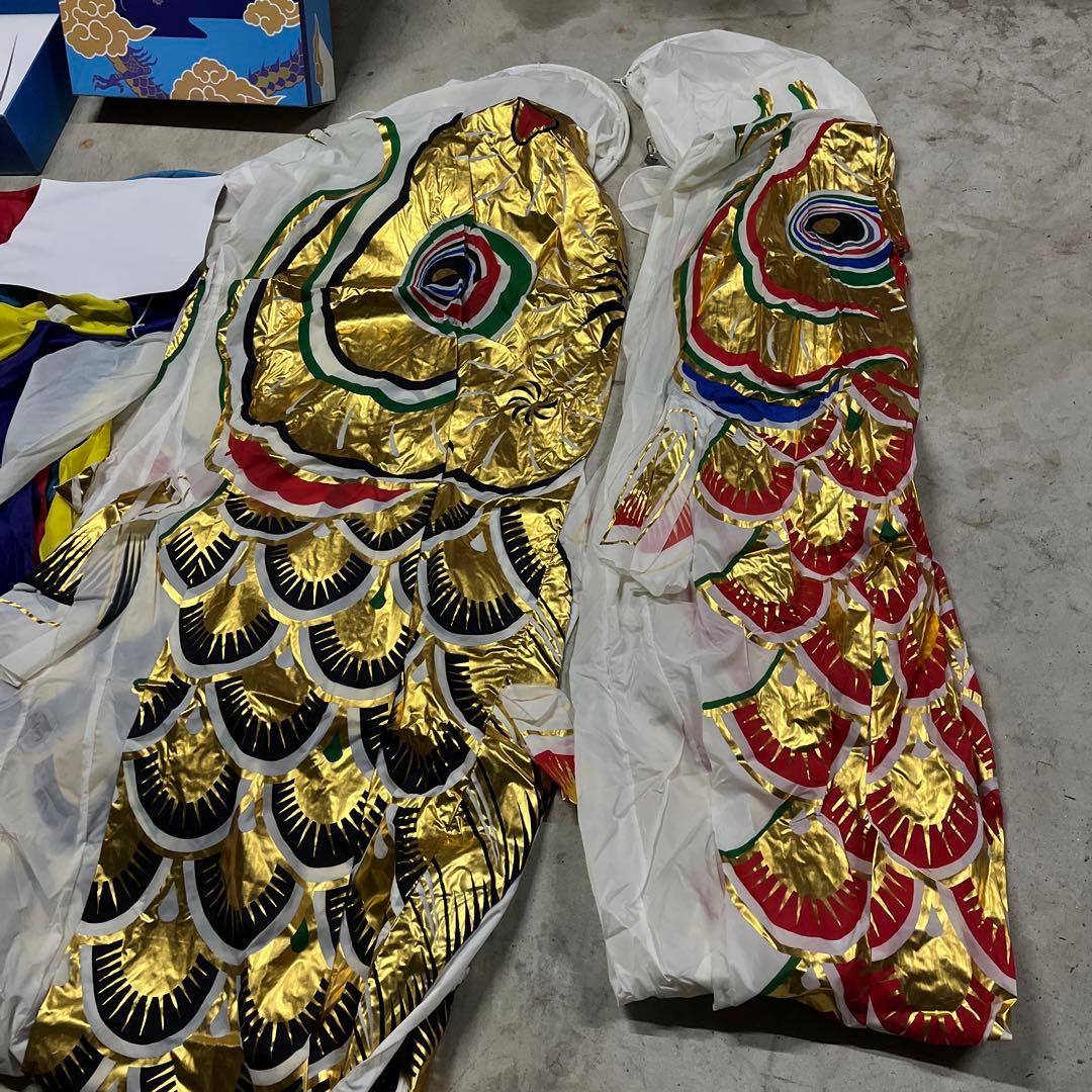 鯉のぼり　5m 黄金