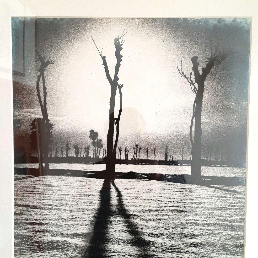 モノクロ自然風景　アルミフレーム　　トネリコの木