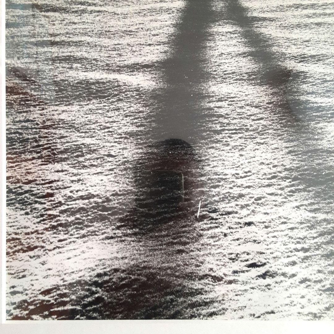 モノクロ自然風景　アルミフレーム　　トネリコの木