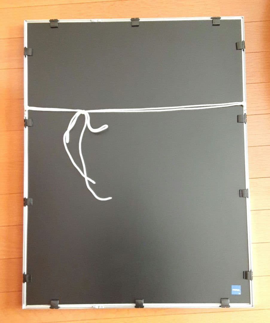 モノクロ自然風景　アルミフレーム　　トネリコの木