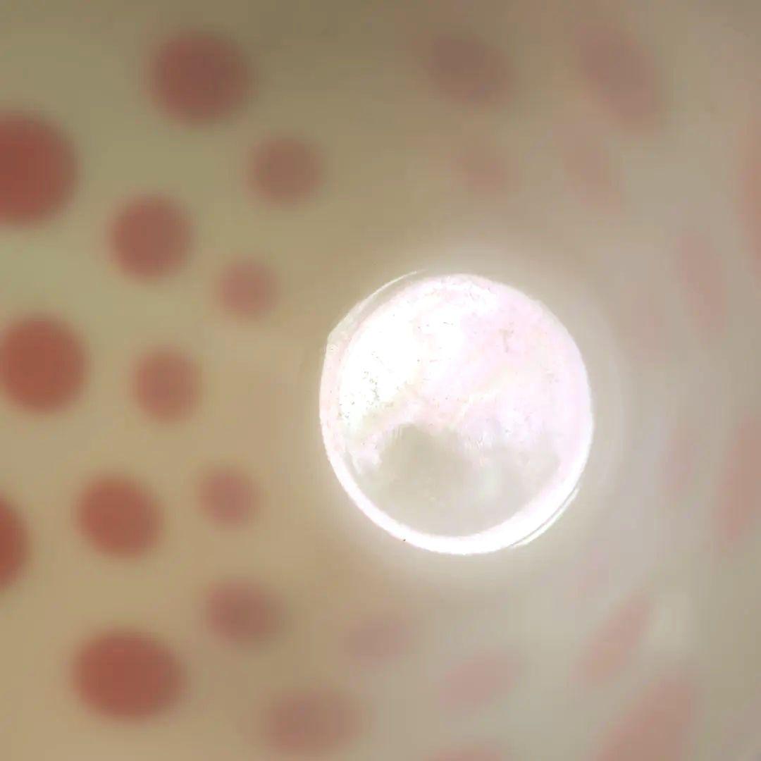 ファイヤーキング・ポルカ・レッドドット・ミキシングボール　M