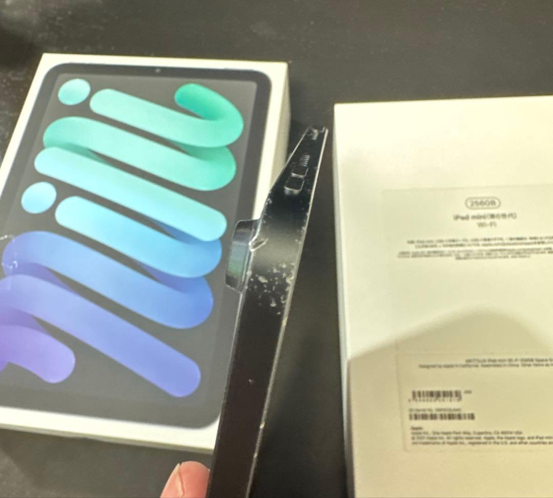 iPad mini 第6世代 256GB