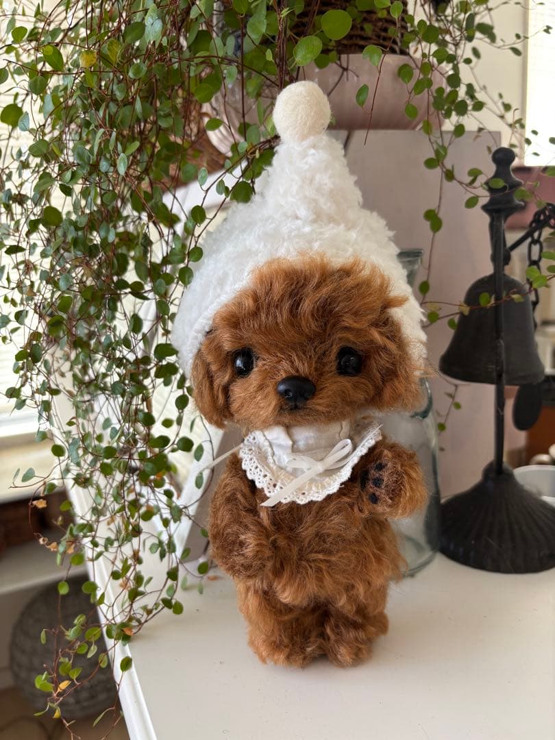 テディプードル　テディわんこ　トイプードル ぬいぐるみ　マルプー