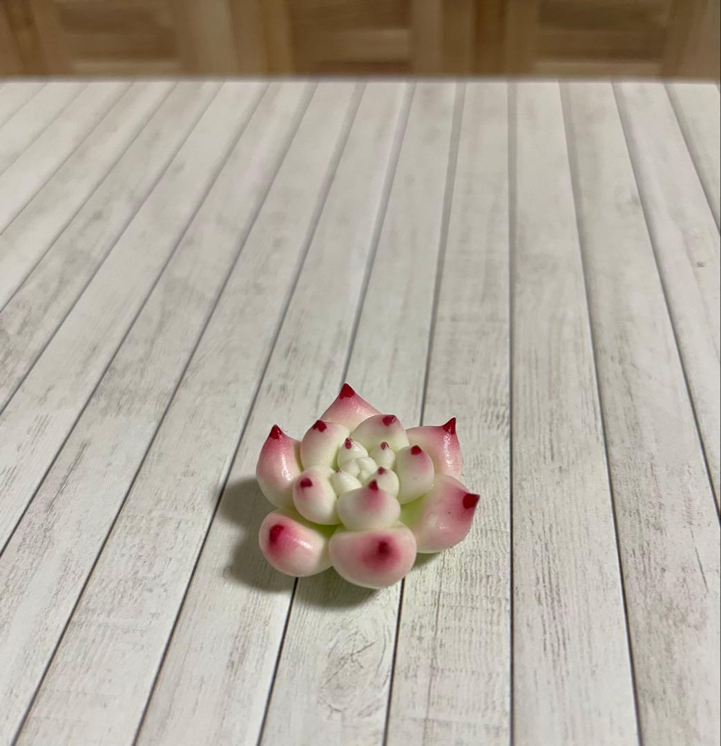 【mog】樹脂粘土のエケベリア
