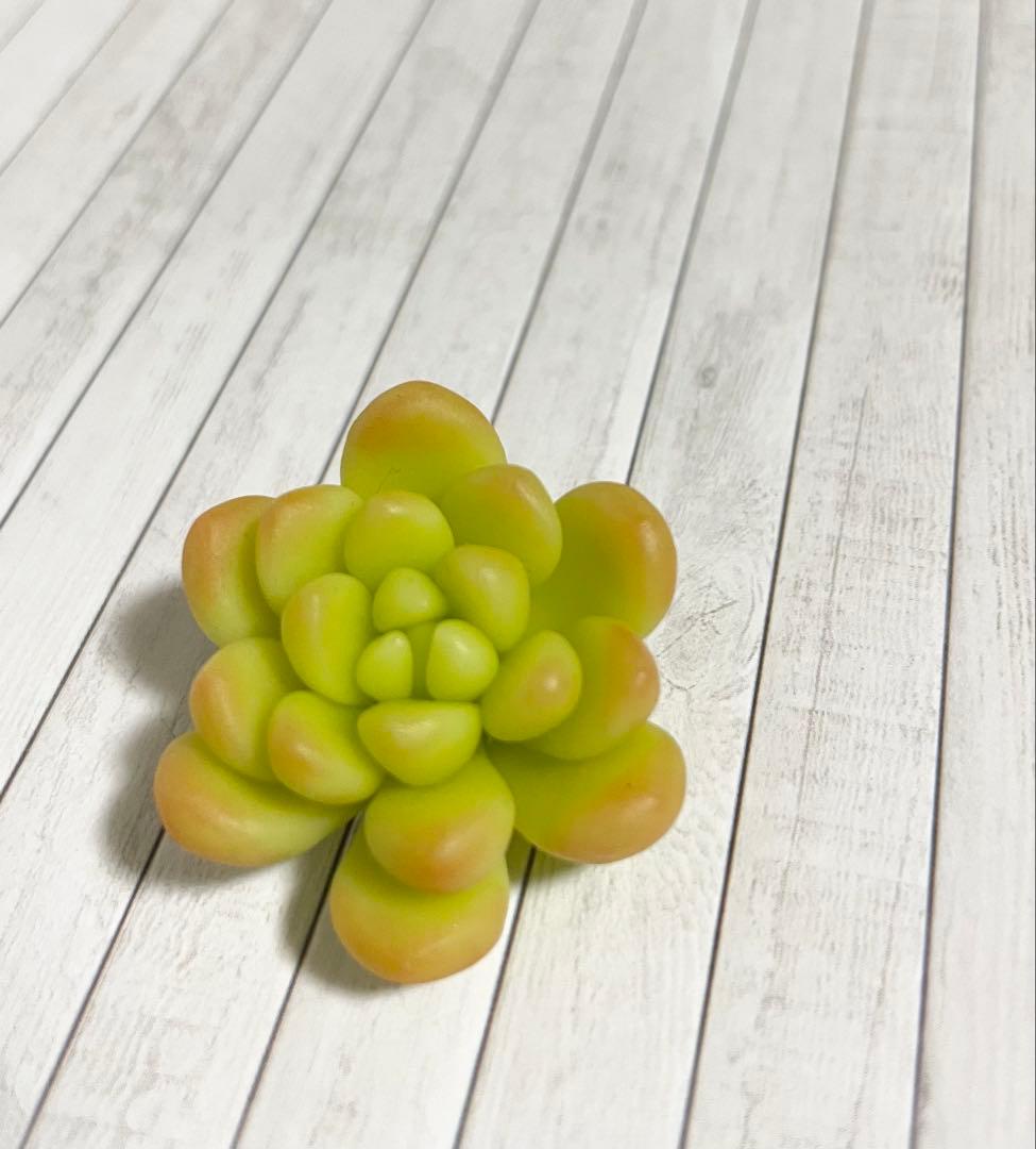 【mog】樹脂粘土のエケベリア