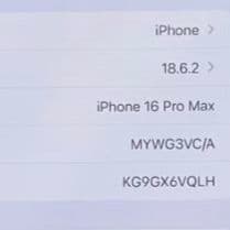 Apple iPhone 16 Pro Max Blackl 256GB CA版