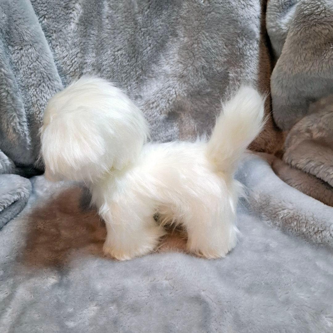 キャンペーン、ぬいぐるみ、マルチーズ、子犬、ハンドメイド、オリジナル、パピー