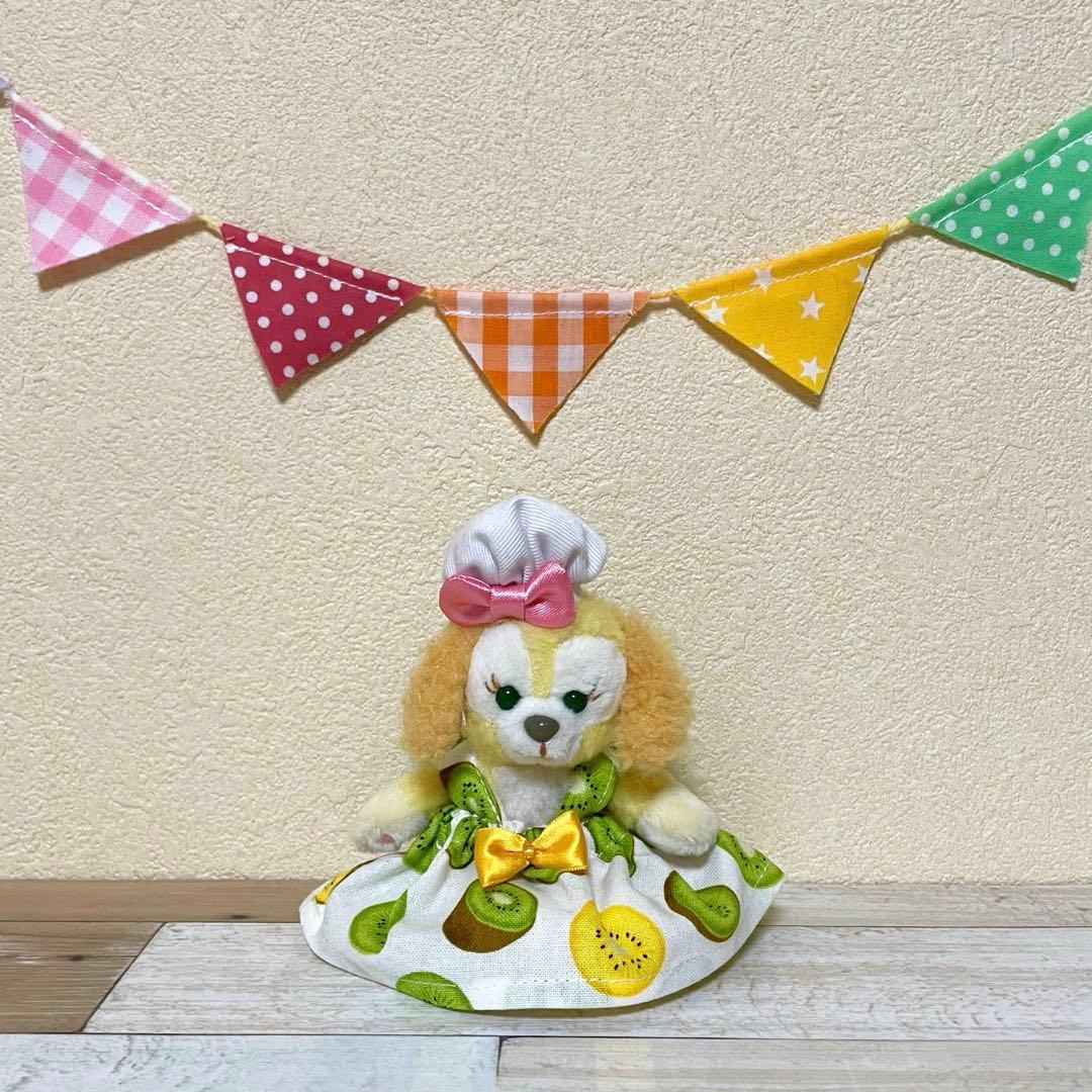 ハンドメイド★キウイ柄コスチューム★ぬいぐるみバッジ♡ストラップ用。パルパルーザ