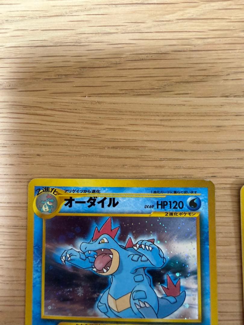 オーダイル・メガニウム　ポケモンカードセット