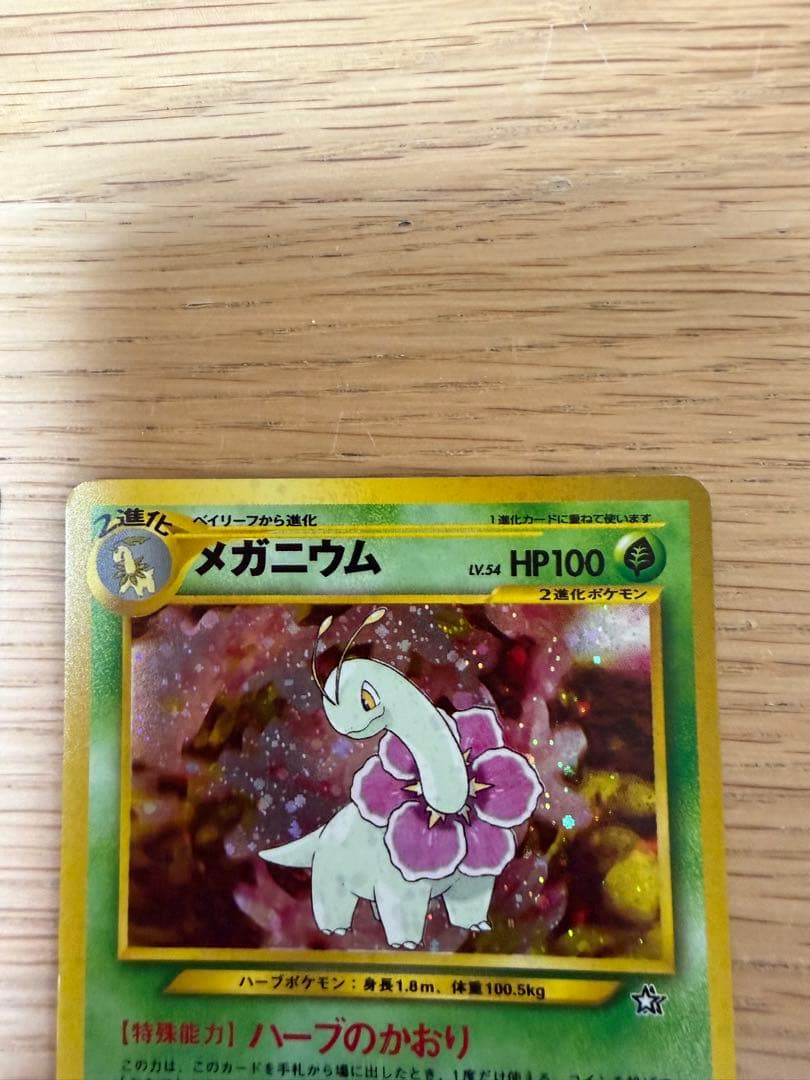 オーダイル・メガニウム　ポケモンカードセット