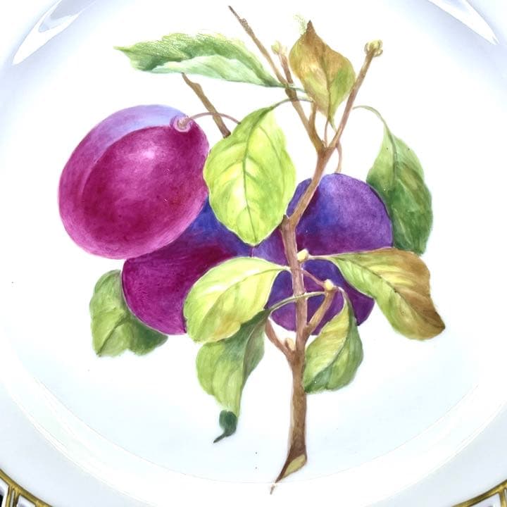 ★超希少★ロイコペ フローラダニカ フルーツサービス