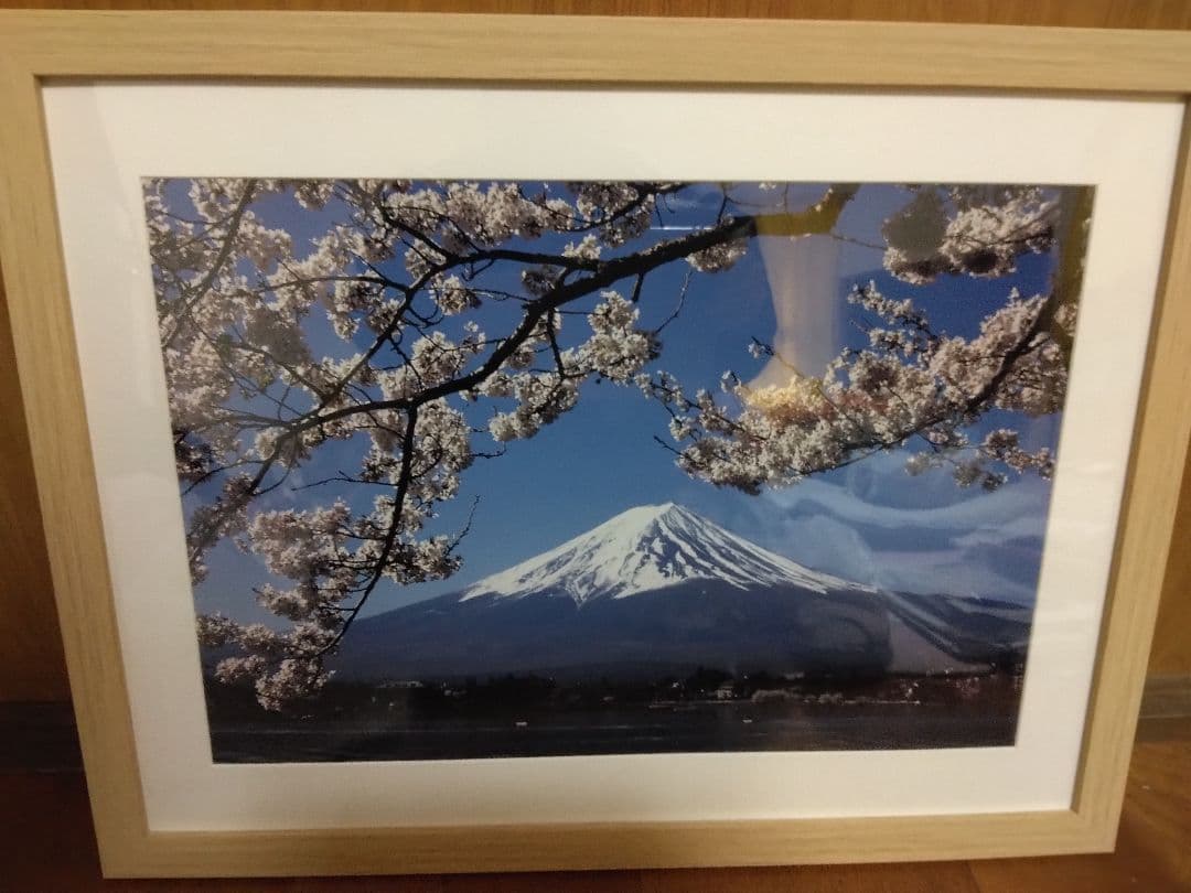 桜と富士山写真　ワイド四ツ切サイズ
