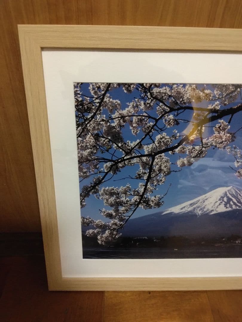 桜と富士山写真　ワイド四ツ切サイズ