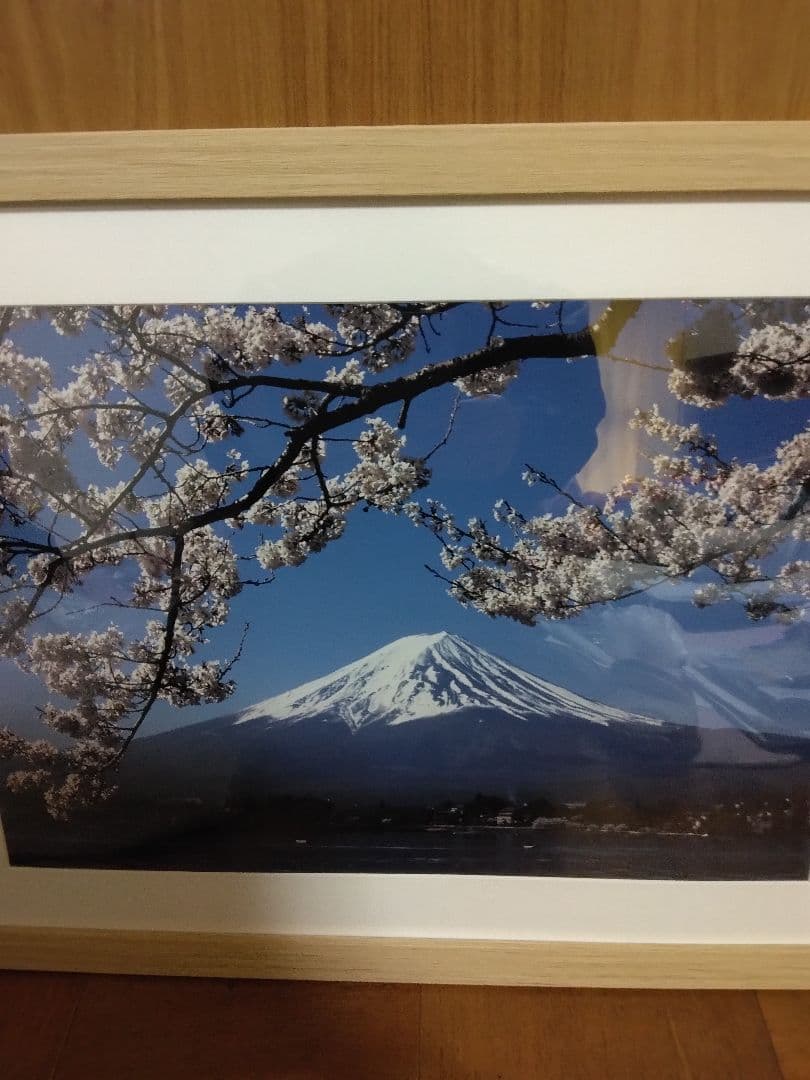 桜と富士山写真　ワイド四ツ切サイズ