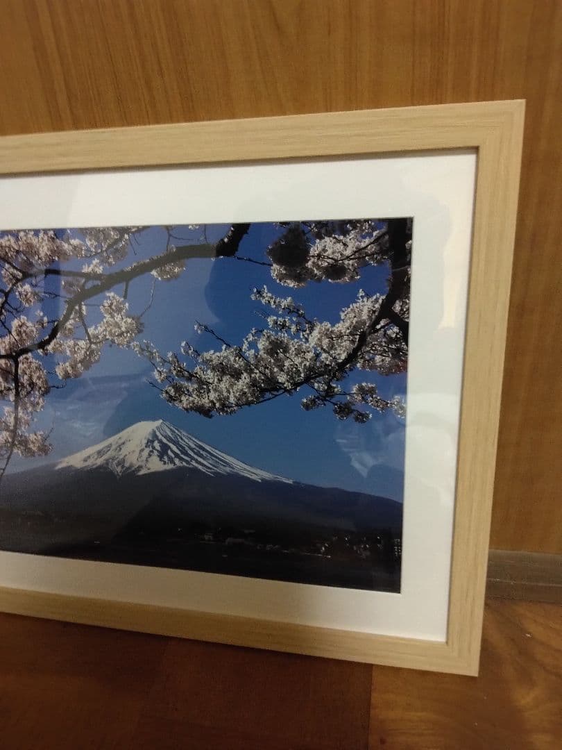 桜と富士山写真　ワイド四ツ切サイズ