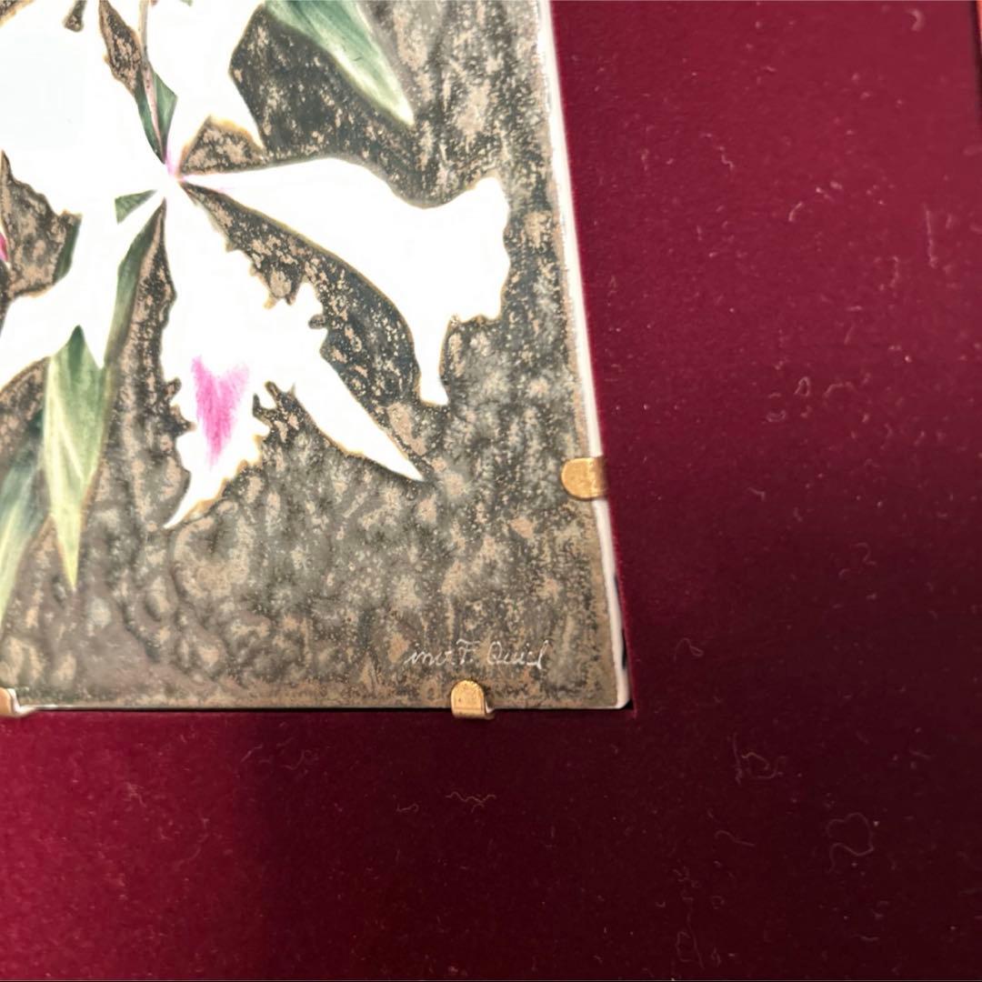 マイセン　マットグラズーワ　オーキッド　カトレア　陶板　額装　レリーフ