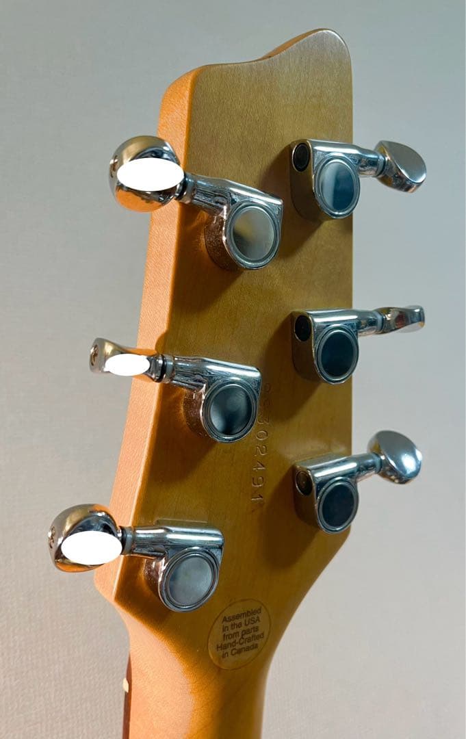 ゆ*ー様 Godin Radiator