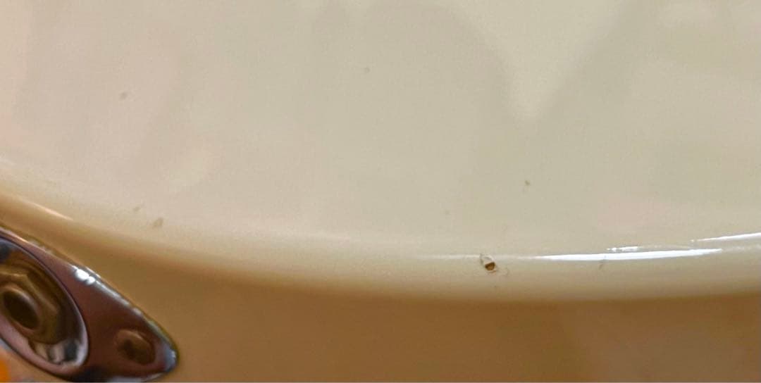 ゆ*ー様 Godin Radiator