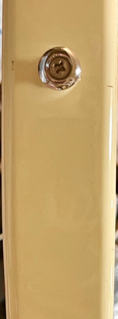 ゆ*ー様 Godin Radiator