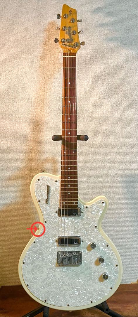 ゆ*ー様 Godin Radiator