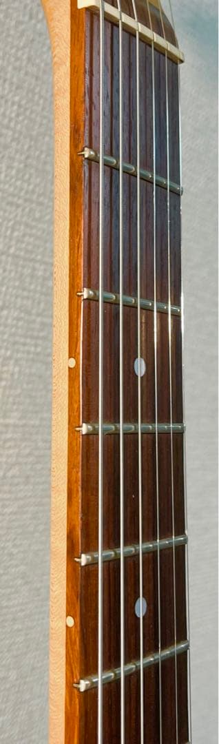 ゆ*ー様 Godin Radiator