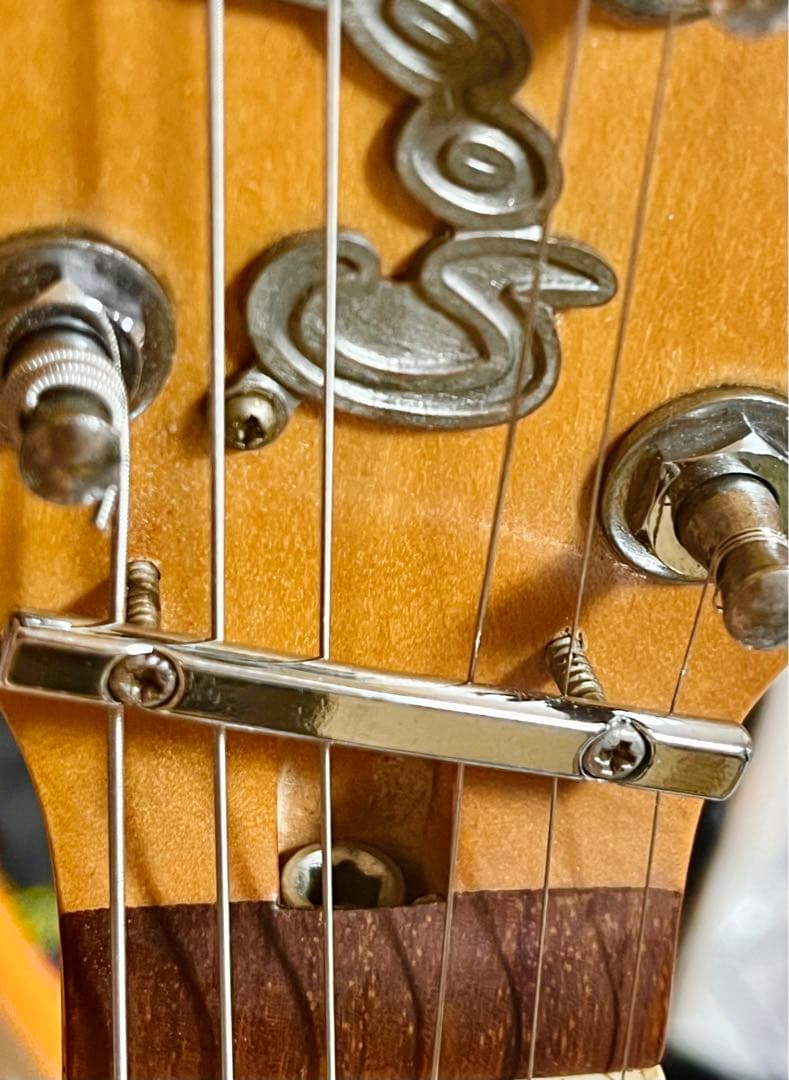 ゆ*ー様 Godin Radiator