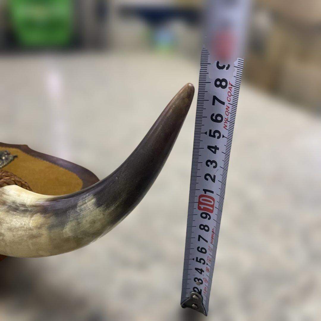 水牛の角 インテリア 壁掛け オブジェ アンティーク レトロ 壁飾り 小物 格安