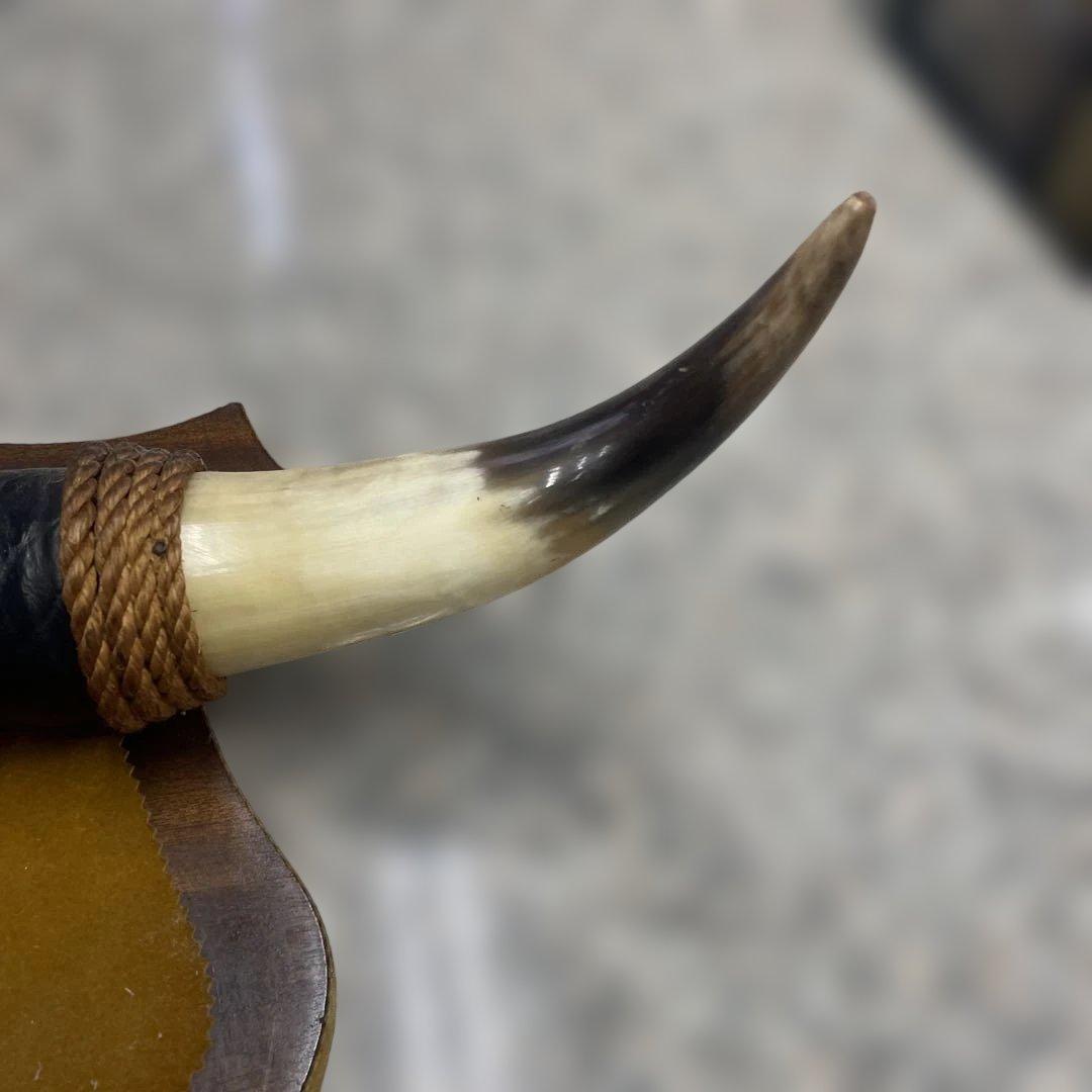 水牛の角 インテリア 壁掛け オブジェ アンティーク レトロ 壁飾り 小物 格安