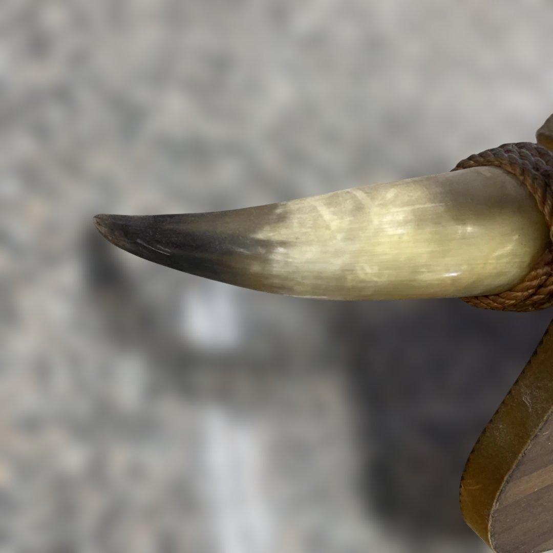 水牛の角 インテリア 壁掛け オブジェ アンティーク レトロ 壁飾り 小物 格安