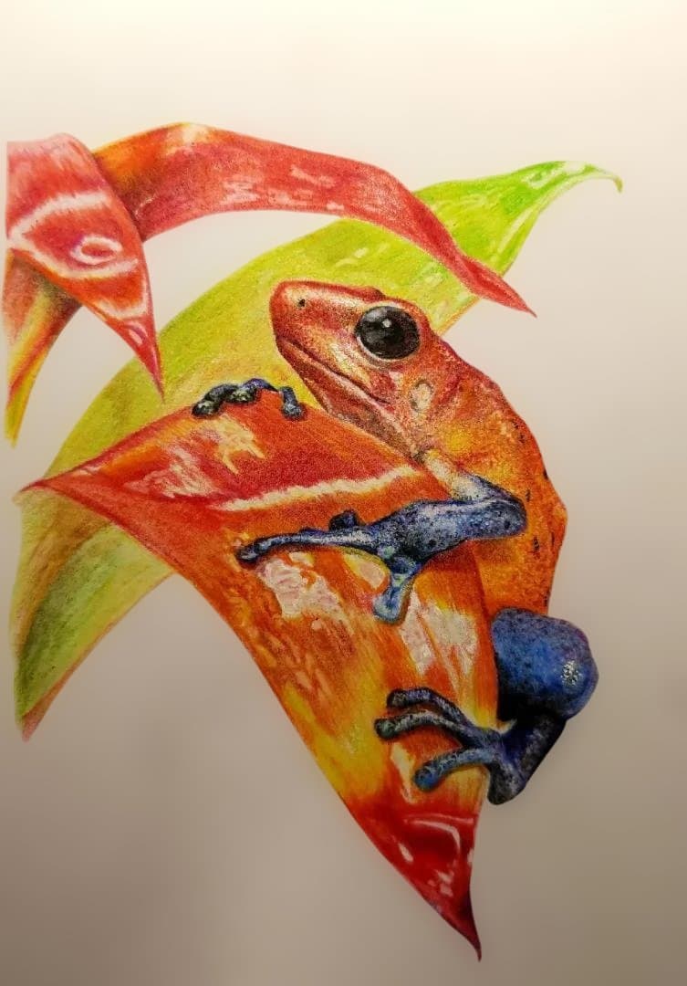 色鉛筆画　Eyes Toward Hope （希望へ向かう瞳）