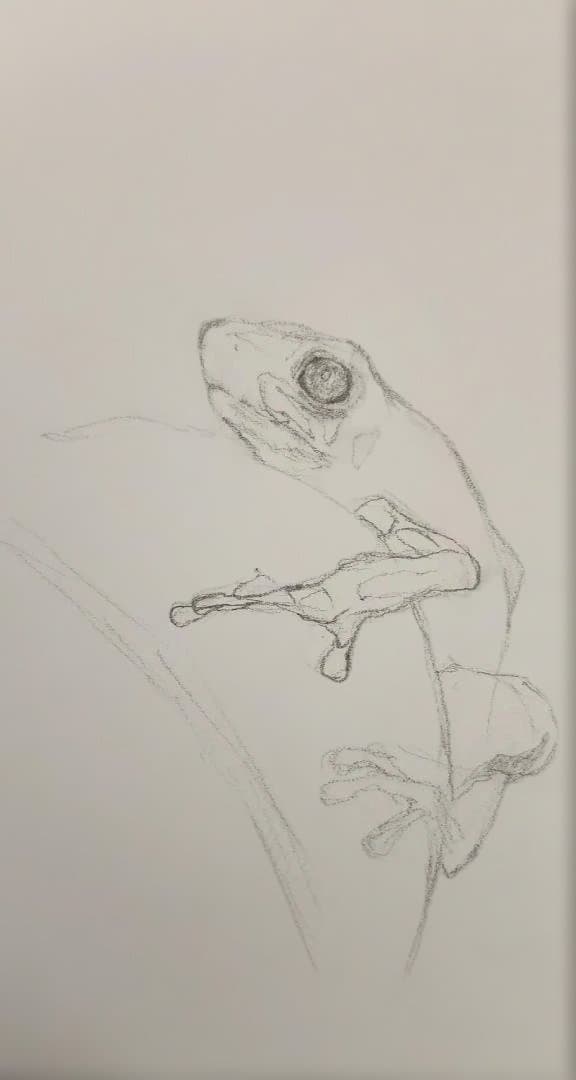 色鉛筆画　Eyes Toward Hope （希望へ向かう瞳）