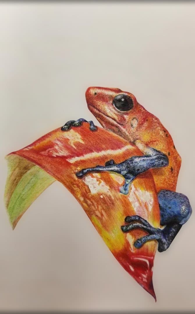 色鉛筆画　Eyes Toward Hope （希望へ向かう瞳）