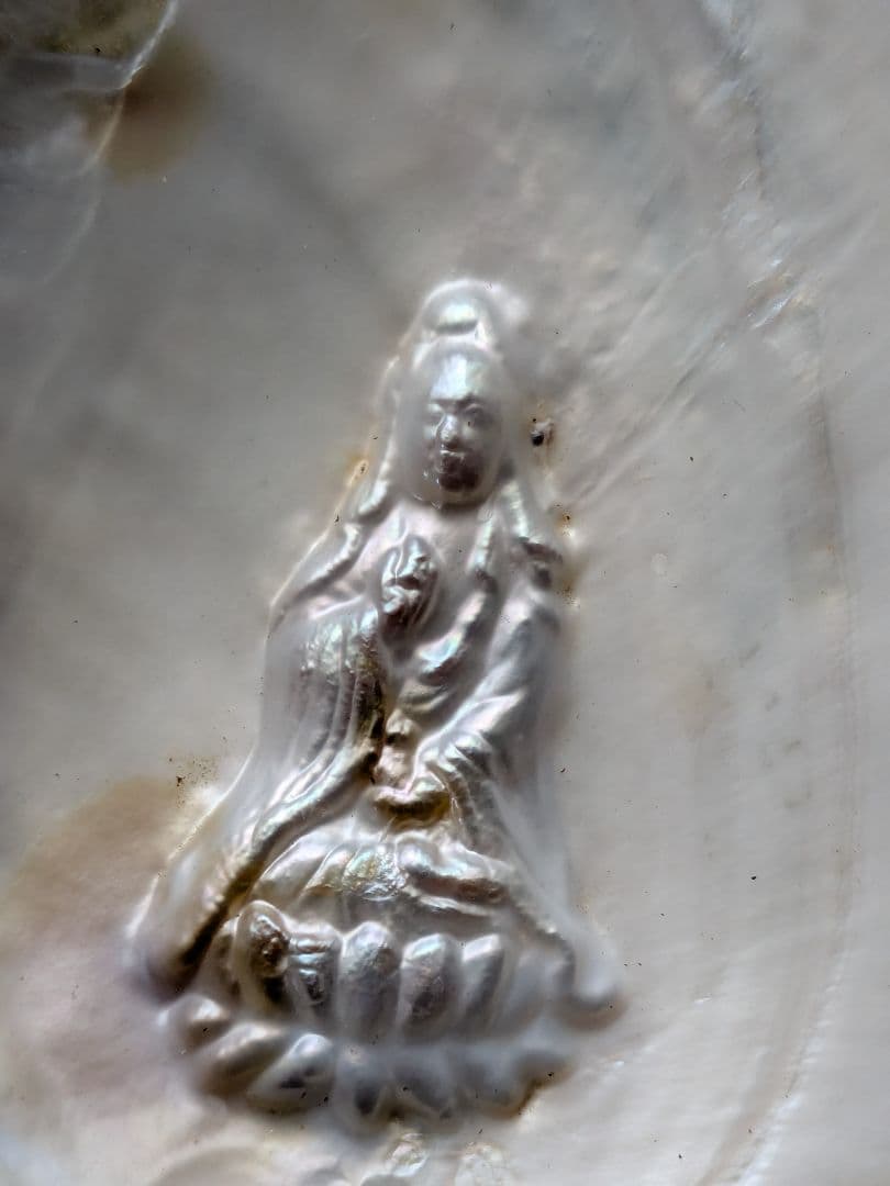 仏像真珠／淡水パール母貝 no.104