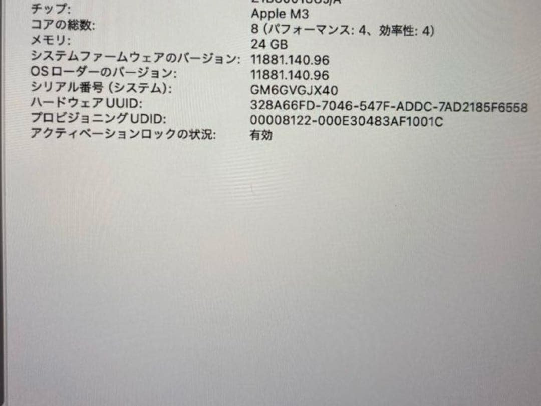 MacBook Air M3 1TB 24gb 13インチ