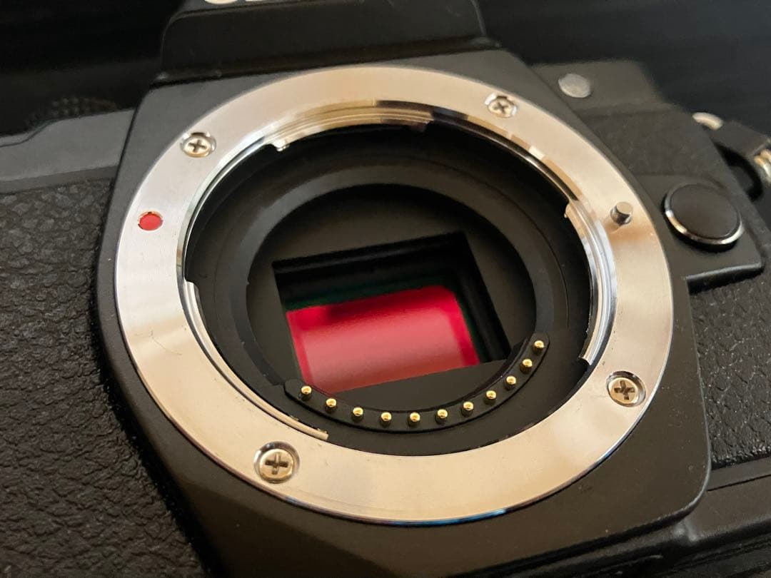 【おまけ6点】OLYMPUS OM-D E-M10 Mark 2 ダブルズーム