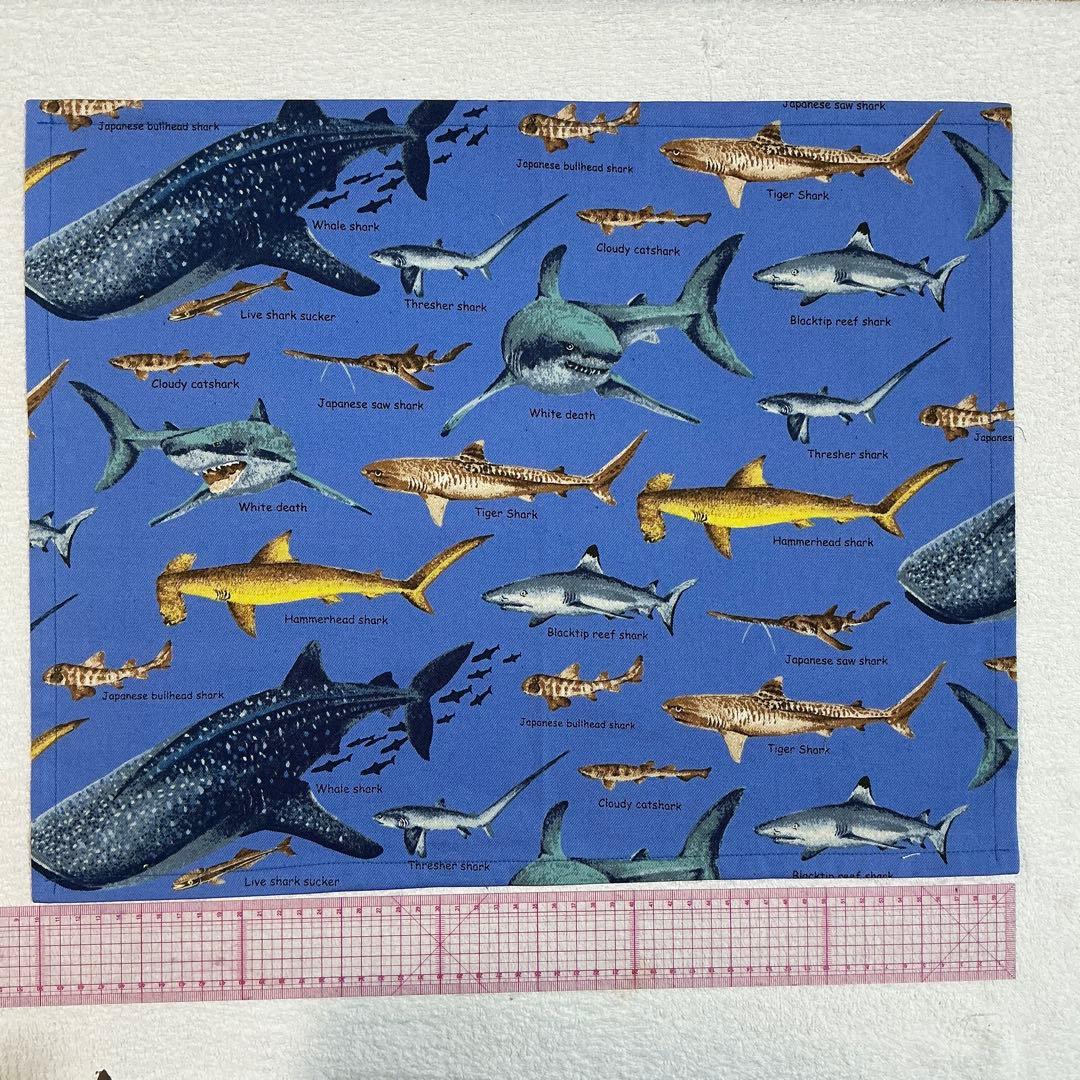 99 魚 海 給食セット×5枚　小学校 ランチョンマット ネームタグ 入学 給食