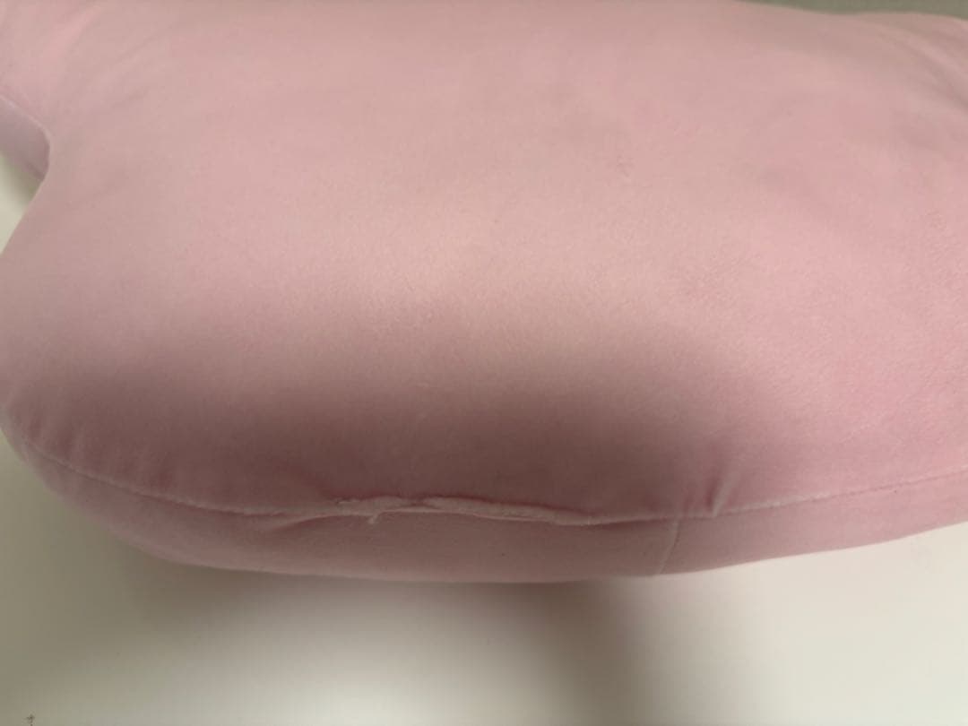 ちろぴのクッション 2個セット　ちろる　ぴの　ぬいぐるみ