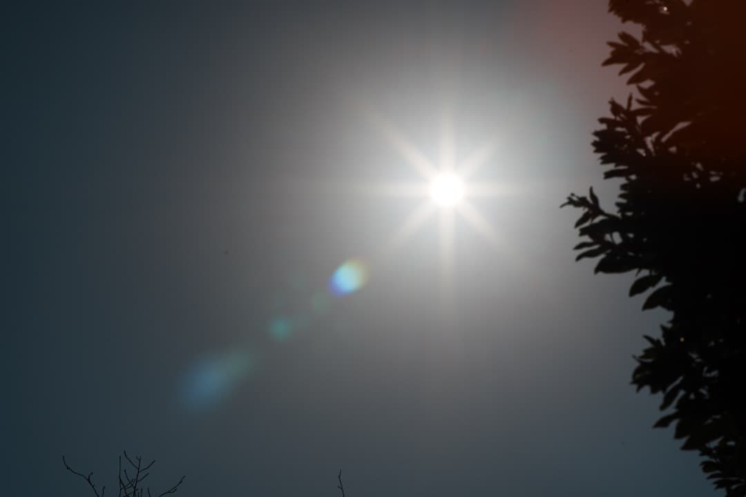 【希少】SMC Takumar 85mm F1.8 M42 ポートレート 637