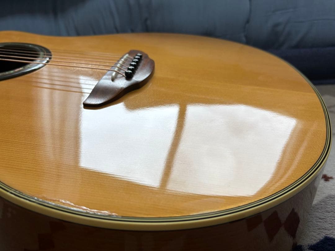 J*n様 Yamaha APX700 NT エレアコ(ハードケース付)