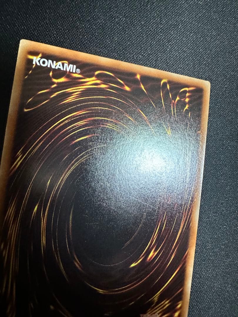 遊戯王　ナチュルパルキオン　DTC シク