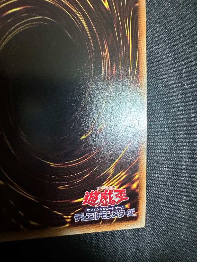 遊戯王　ナチュルパルキオン　DTC シク